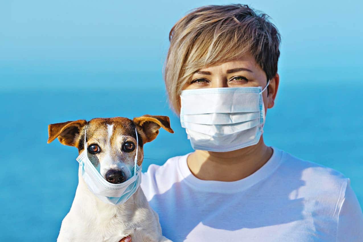 woman-short-hair-holding-dog-oceanside-looking-at-camera-wearing-protective-mask-during-covid-19-pandemic