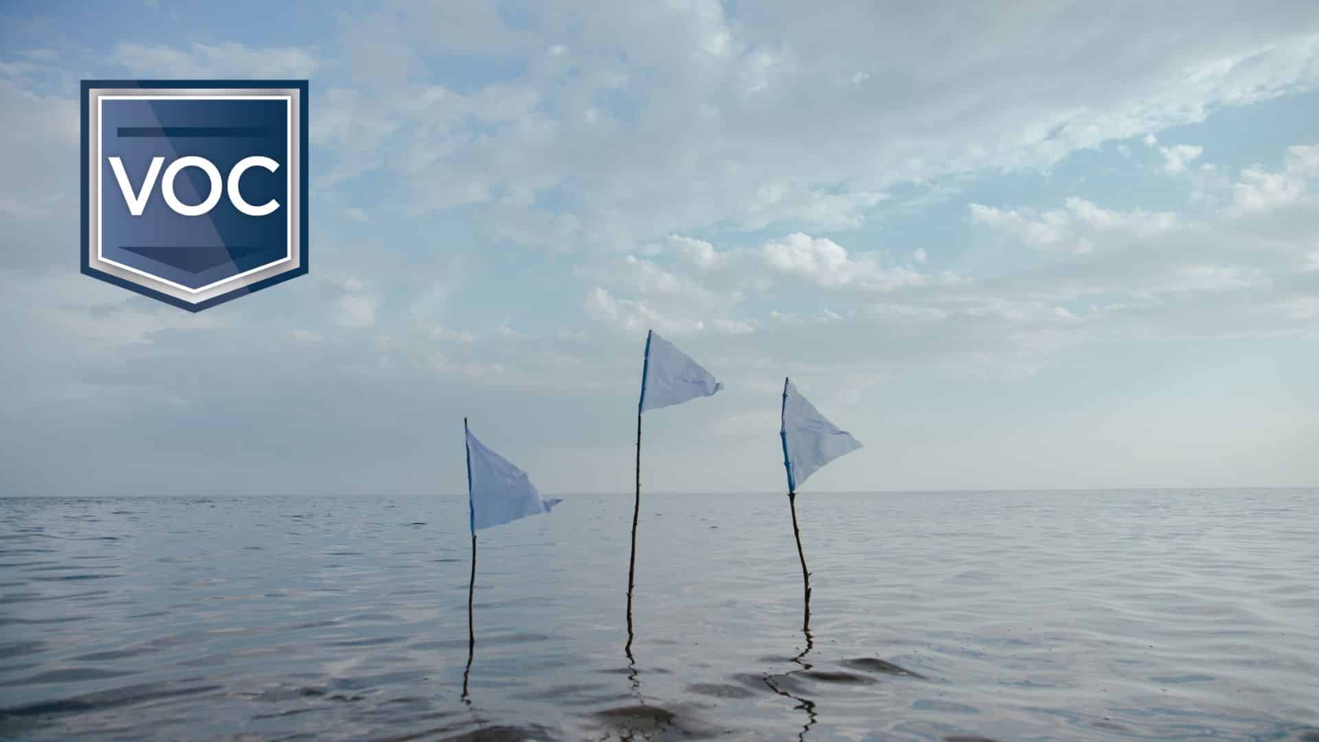 timeshare surrender program